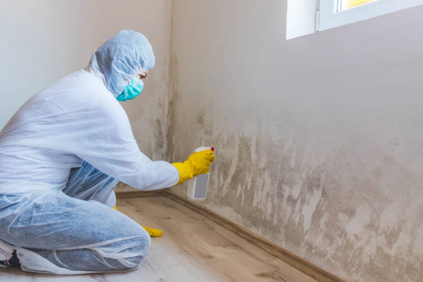 Mold Remediation specialist working in Riverton
